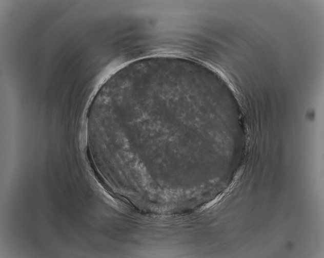X0000097841371200803281214