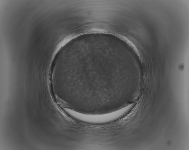 X0000097841373200803281214