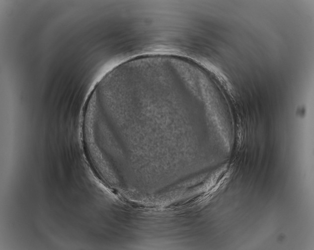 X0000097841374200803281214