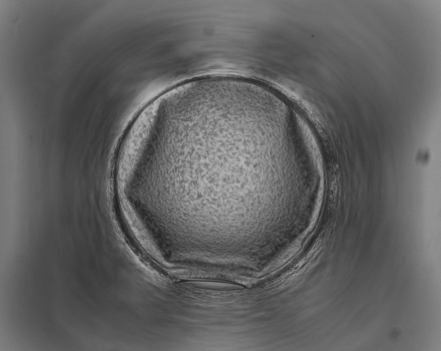 X0000097841375200803281214