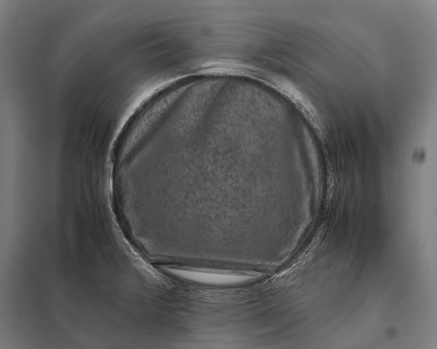 X0000097841376200803281214