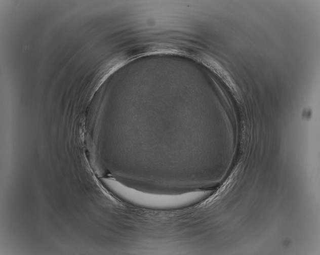 X0000097841377200803281214