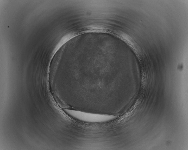 X0000097841378200803281214