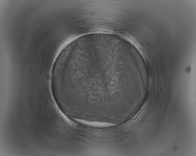 X0000097841379200803281214