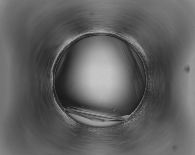 X0000097841380200803281214