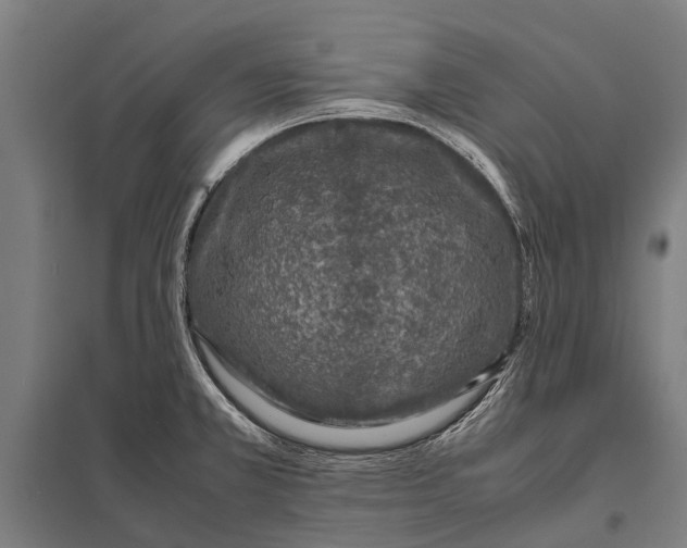 X0000097841381200803281214