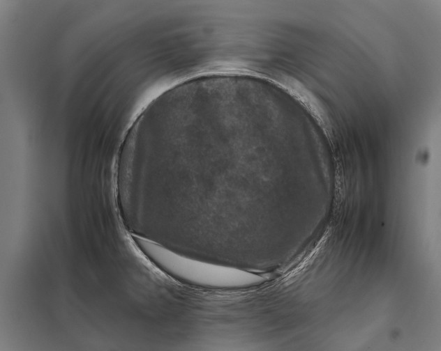 X0000097841382200803281214