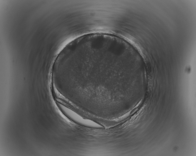 X0000097841383200803281214