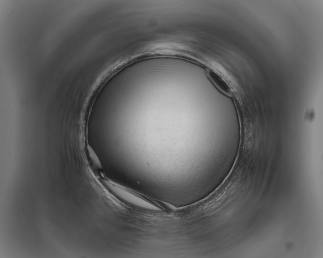 X0000097841384200803281214