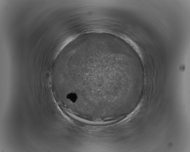X0000097841385200803281214