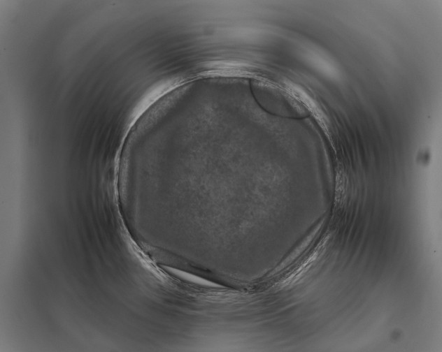 X0000097841386200803281214