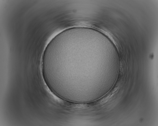 X0000097841387200803281214