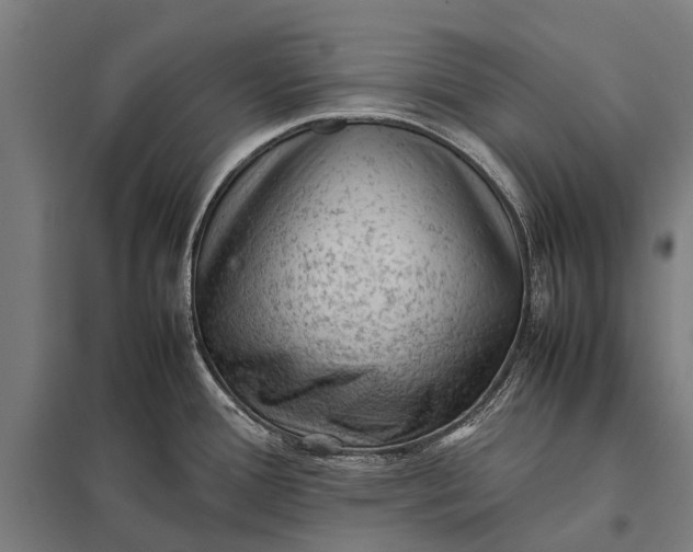 X0000097841388200803281214