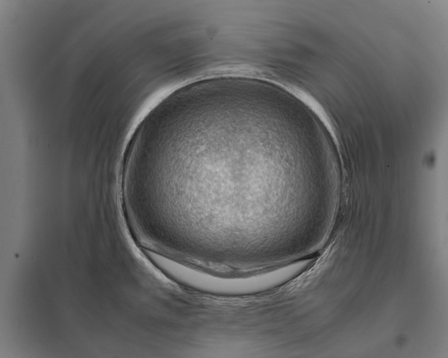 X0000097841389200803281214
