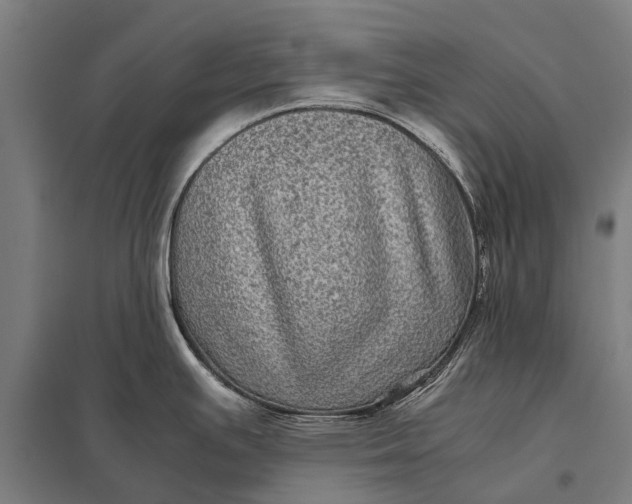 X0000097841391200803281214