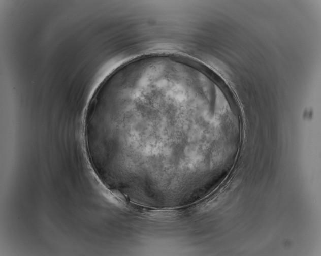 X0000097841392200803281214