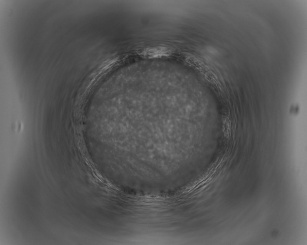 X0000097841393200803281213