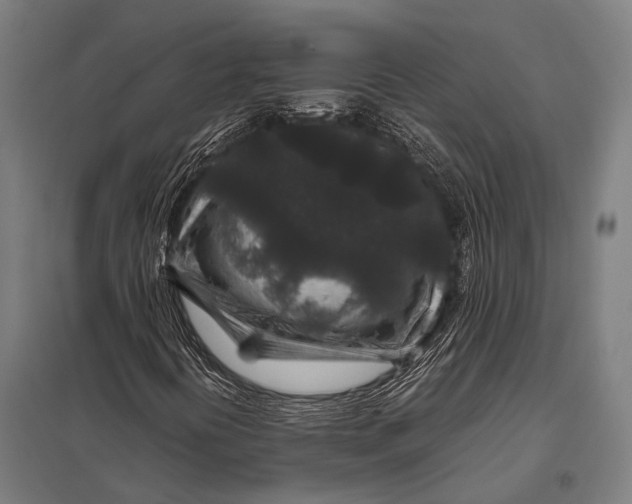 X0000097841394200803281213