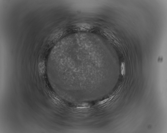 X0000097841395200803281213