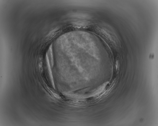 X0000097841396200803281213