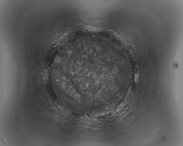 X0000097841397200803281213