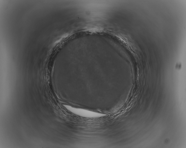 X0000097841398200803281213