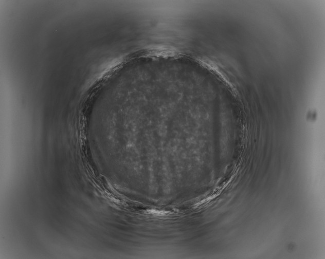 X0000097841399200803281213
