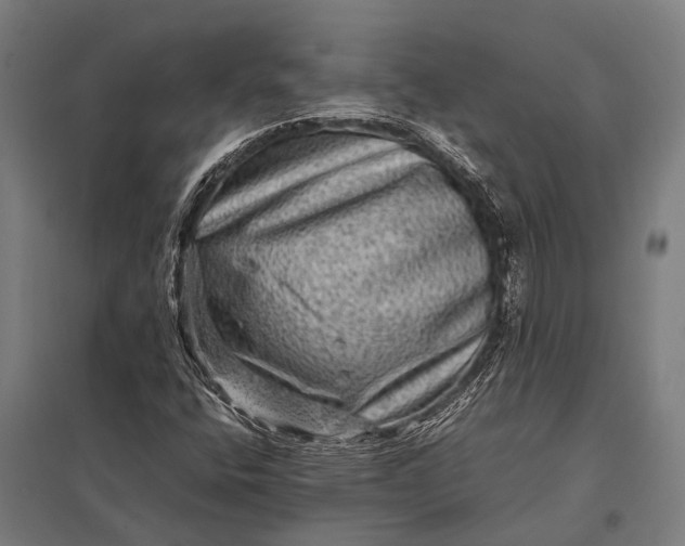X0000097841400200803281213