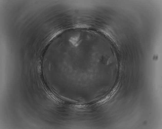 X0000097841401200803281213