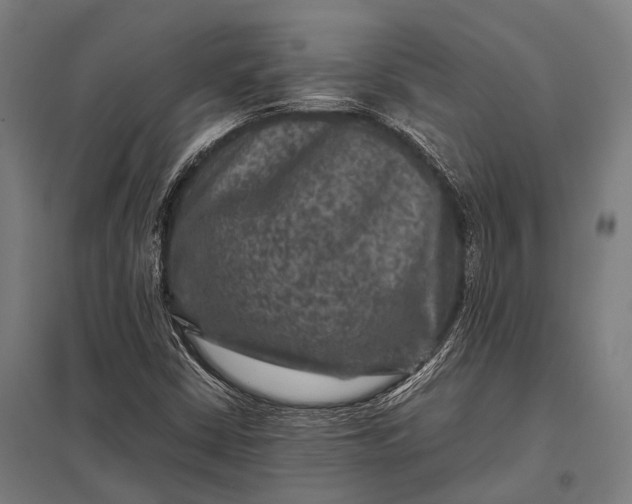 X0000097841402200803281213