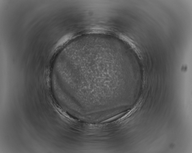 X0000097841403200803281213