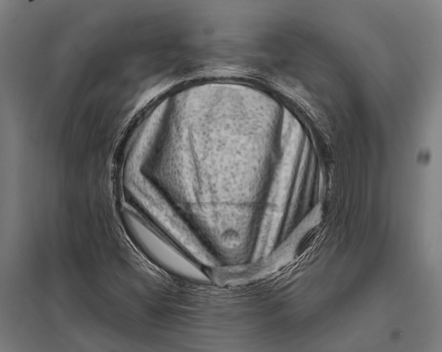 X0000097841404200803281213
