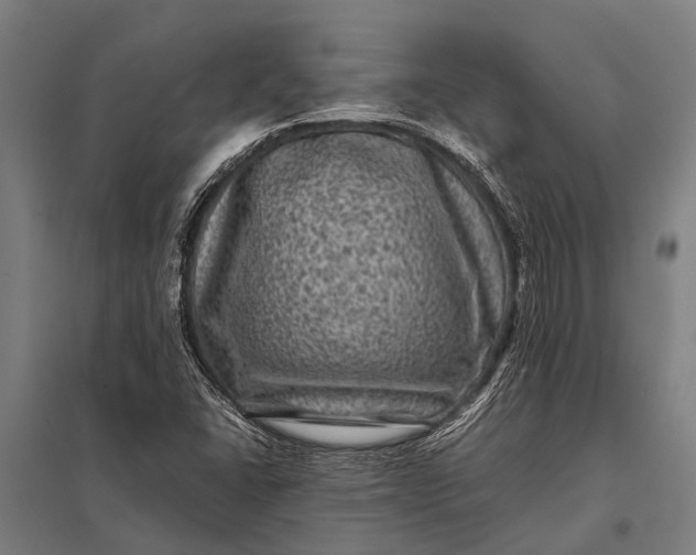 X0000097841406200803281213