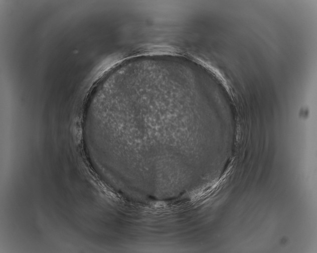 X0000097841407200803281213