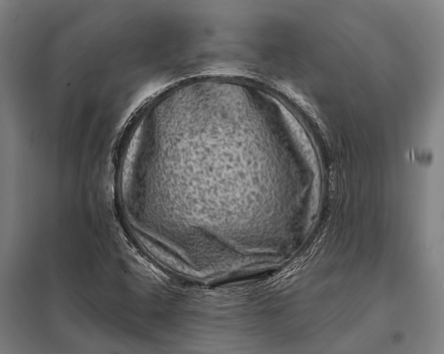 X0000097841408200803281213