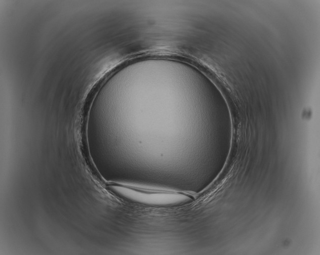 X0000097841410200803281213