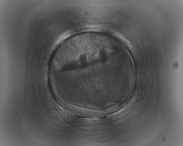 X0000097841411200803281213