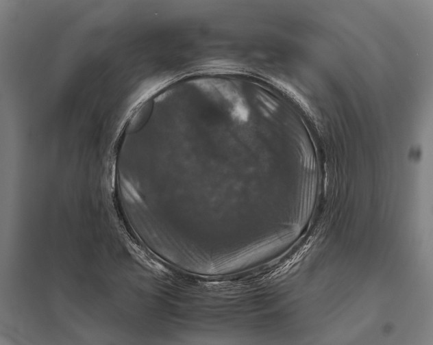 X0000097841413200803281213