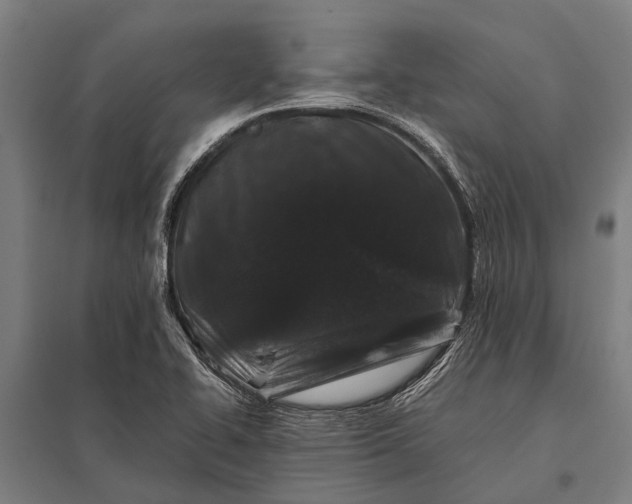X0000097841414200803281213