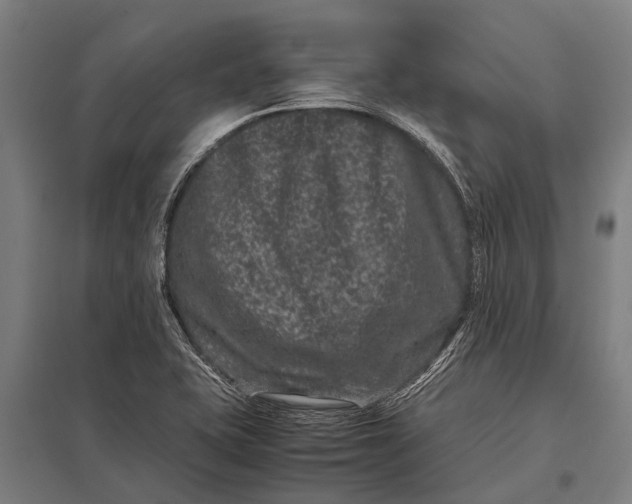 X0000097841415200803281213