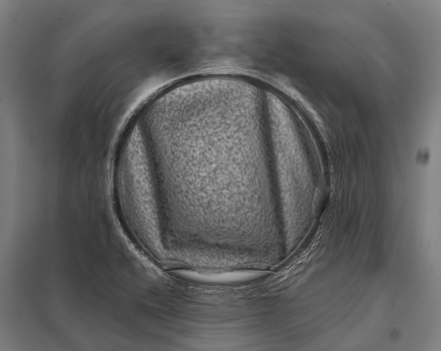 X0000097841416200803281213