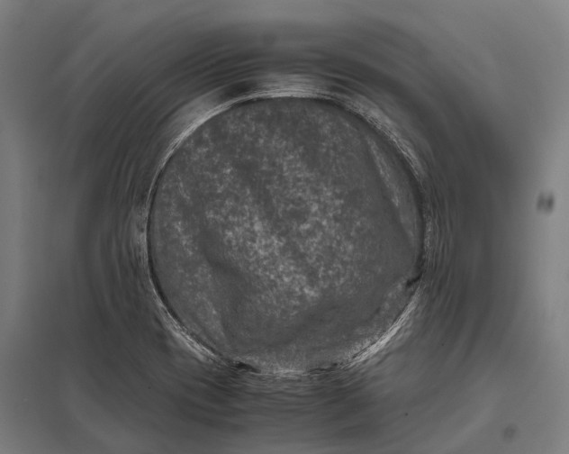 X0000097841417200803281213