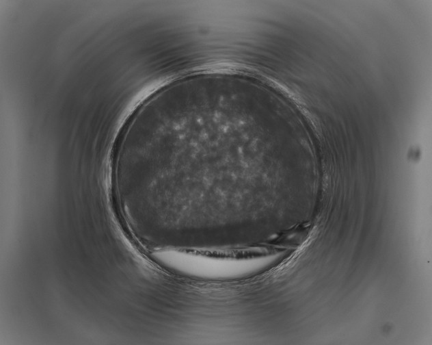 X0000097841418200803281213