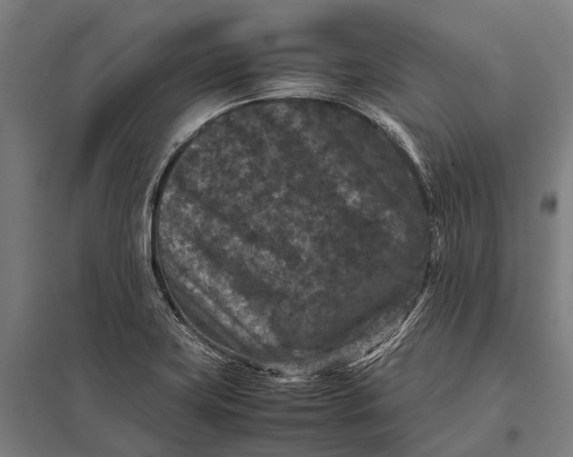 X0000097841419200803281213