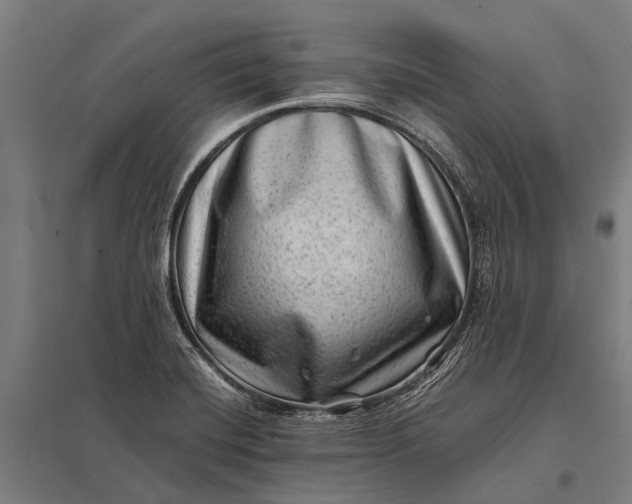 X0000097841420200803281213
