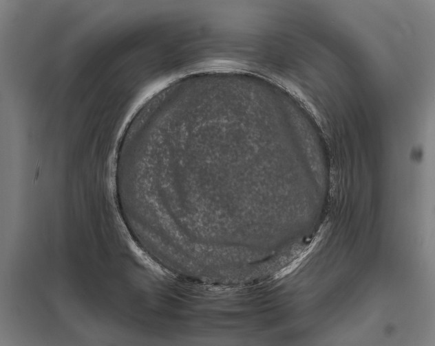 X0000097841421200803281213