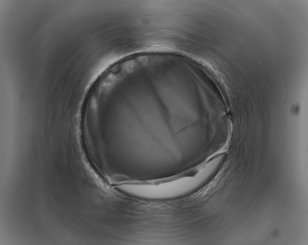 X0000097841422200803281214