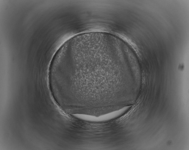 X0000097841423200803281214