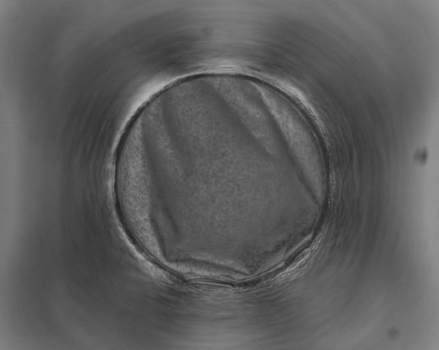 X0000097841424200803281214
