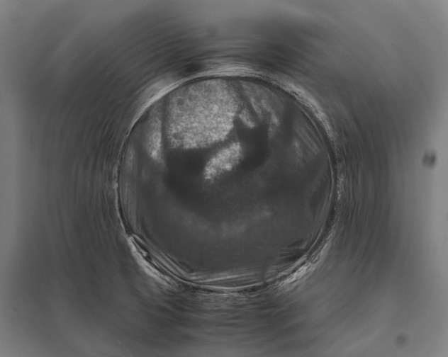 X0000097841425200803281214